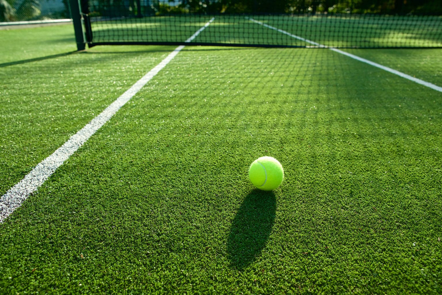 Grass courts offer a fast-paced playing experience, low ball bounce, and unique challenges