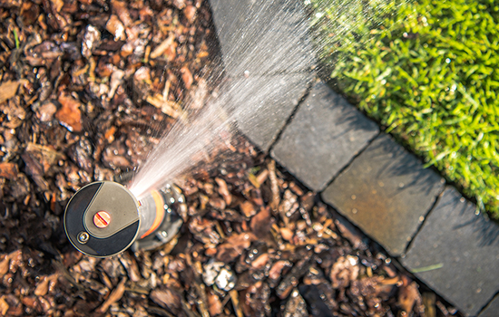 Understanding the significance of proper irrigation in maintaining a healthy lawn