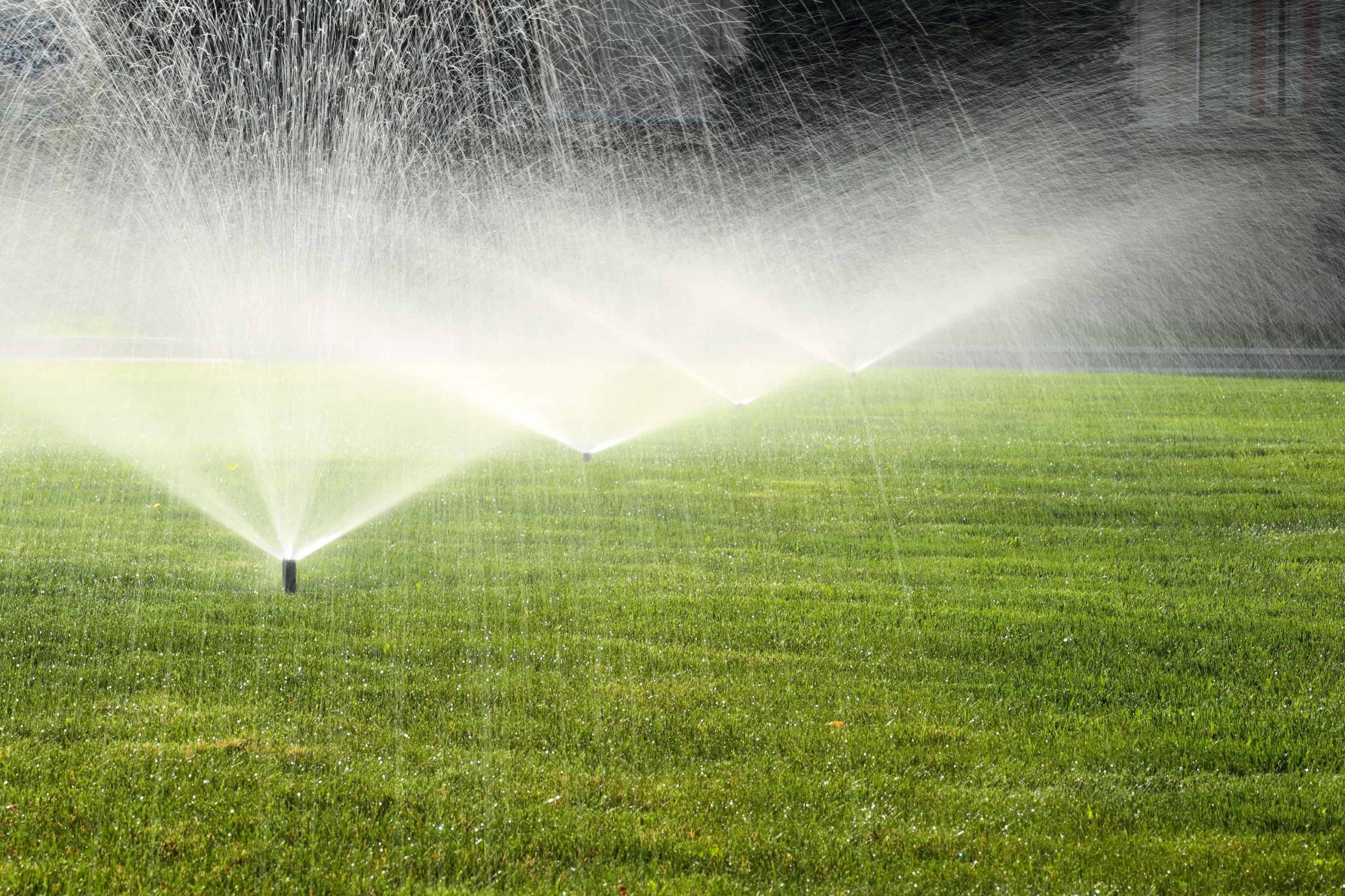 The decision to hire a sprinkler installation company stemmed from the frustration of dealing with a dry